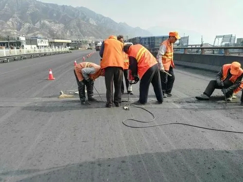 桥西道路桥梁病害治理